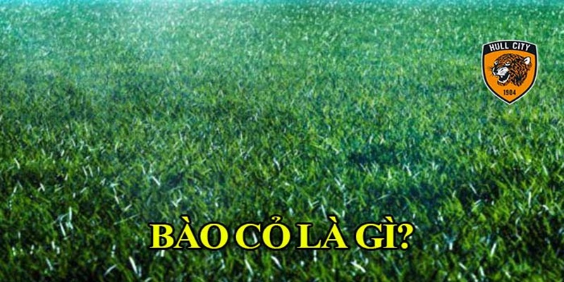 Mẹo đánh rồng hổ - Hướng dẫn từ A đến Z để thành công 9 Bào cỏ là gì?