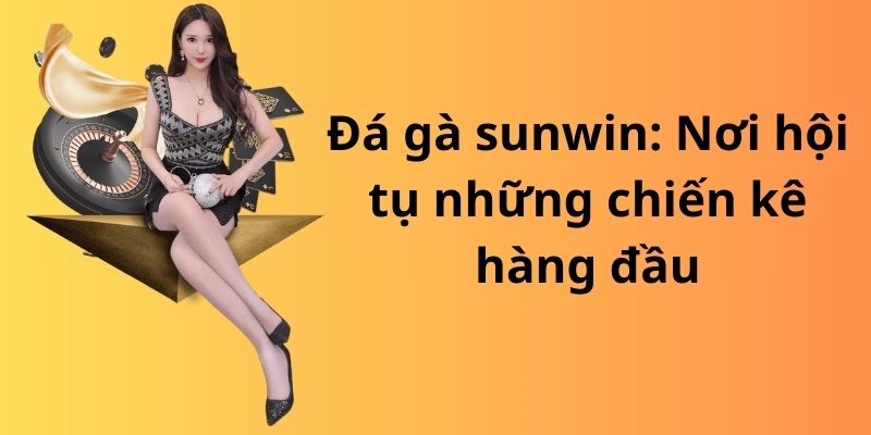 Mẹo đánh rồng hổ - Hướng dẫn từ A đến Z để thành công 8 image 313