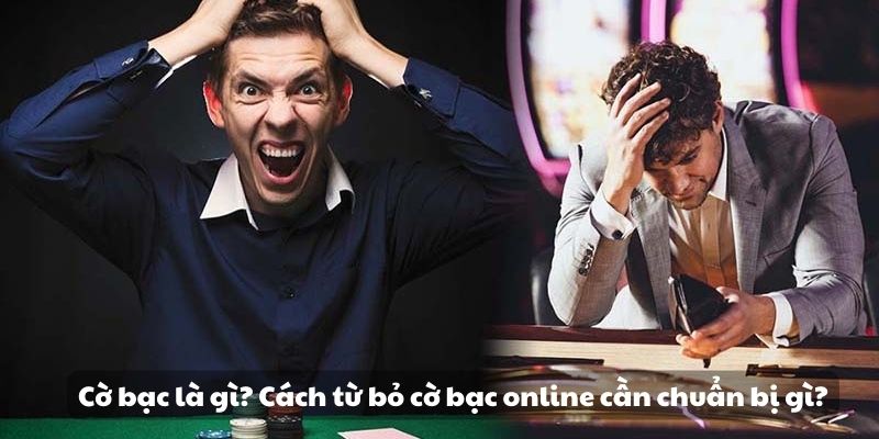 Mẹo đánh rồng hổ - Hướng dẫn từ A đến Z để thành công 9 image 326